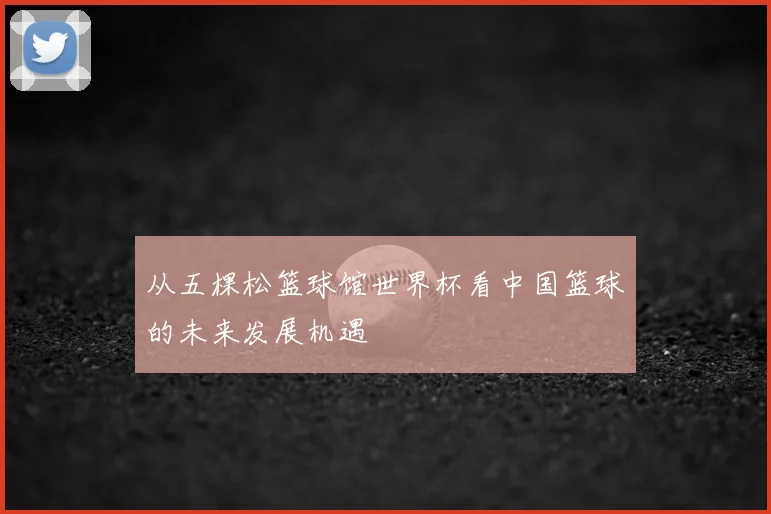 从五棵松篮球馆世界杯看中国篮球的未来发展机遇