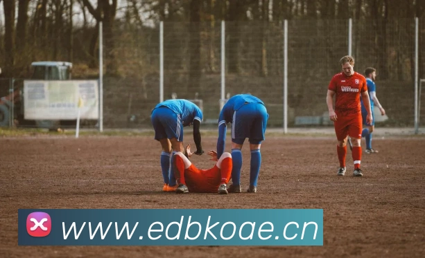 开云官方登录全站App